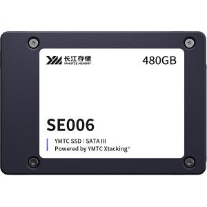 长江存储YMES0XH05B48ME 480G企业级固态硬盘 2.5 寸 SATA接口 SE006系...