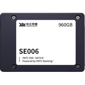 长江存储YMES0XH07B48ME 960G企业级固态硬盘 2.5 寸 SATA接口 SE006系...